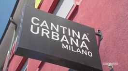 Il vino prodotto in città thumbnail