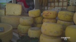 L'Asiago e la sua tradizione millenaria nelle malghe thumbnail