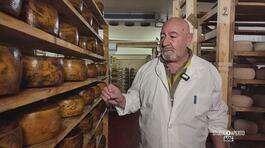 Il formaggio pecorino thumbnail