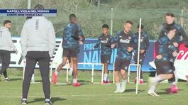 Napoli, viola nel mirino thumbnail