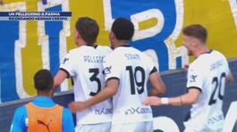 Un Pellegrino a Parma thumbnail