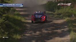 WRC Rally Paraguay thumbnail