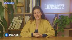 Le storie di Lifegate