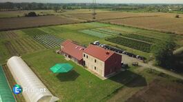 Agricoltura solidale thumbnail