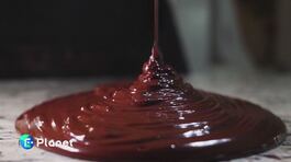 Cacao, quanto è amaro il clima thumbnail
