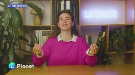 Le storie di LifeGate thumbnail
