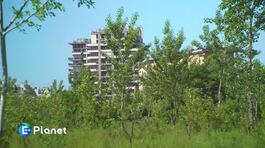 Un'agriforesta in città thumbnail
