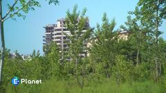 Un'agriforesta in città