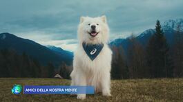 Amici della nostra mente thumbnail