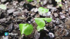 Bio-economia di successo