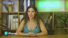 Le storie di LifeGate thumbnail