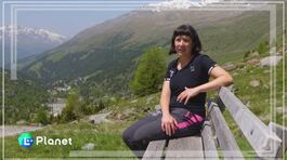 Flora ad alta quota thumbnail
