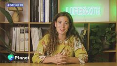 LifeGate: un passo aventi per la tutela degli animali marini
