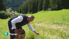 I sapori della montagna