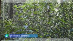 Siamo natura