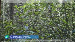 Siamo natura thumbnail