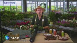 E-Garden thumbnail