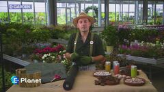 E-Garden