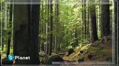 Natura, cura per lo spirito