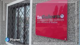 Liberi in cucina thumbnail