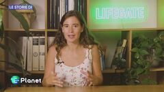 Le storie di LifeGate