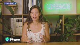 Le storie di LifeGate thumbnail