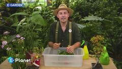 E-Garden: pratiche sos