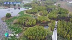 Città spugna: spazi urbani resilienti