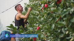 Caldo: un rischio per i lavoratori