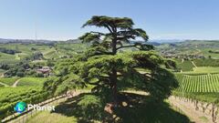 Dal Libano alle Langhe