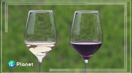 Il vino ai tempi del climate change thumbnail