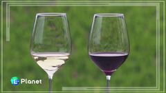 Il vino ai tempi del climate change