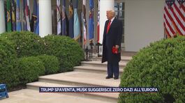 Trump spaventa, Musk suggerisce zero dazi all'Europa thumbnail