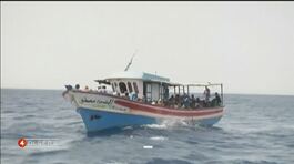 Male adriatico thumbnail