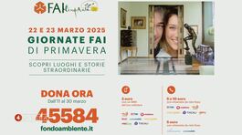 Mediaset a fianco del FAI thumbnail