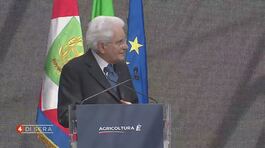 Sergio Mattarella stigmatizza sui dazi di Donald Trump thumbnail