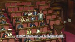 Il DDL sicurezza italiano divide
