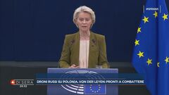Lo stomaco di Ursula von der Leyen