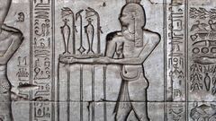 Ep. 7 - Antiche città e creature tenaci