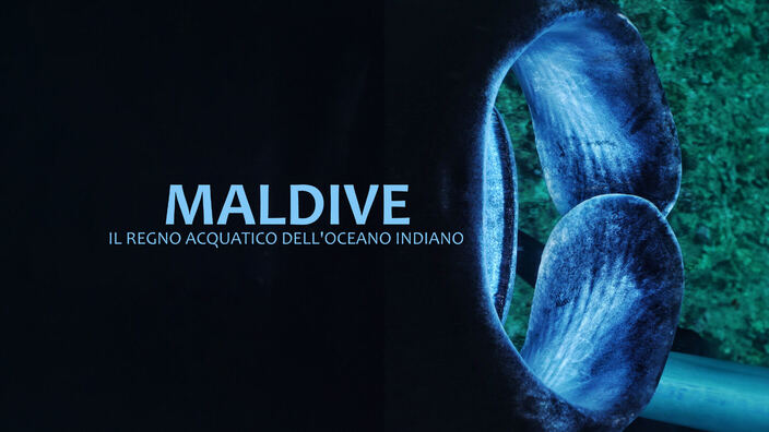 Maldive: il regno acquatico dell'oceano indiano