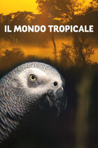 Il mondo tropicale