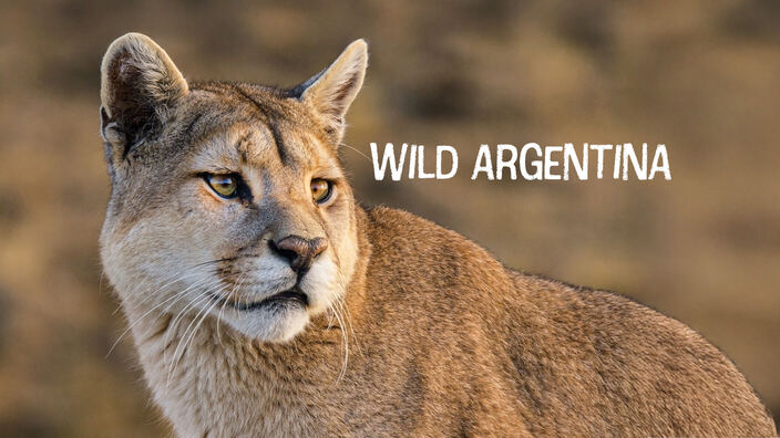Wild Argentina
