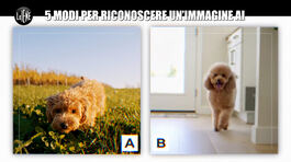 VIVIANI: 5 modi per riconoscere un'immagine AI thumbnail