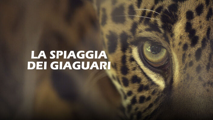 La spiaggia dei giaguari