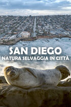San Diego: natura selvaggia in città San Diego: natura selvaggia in città