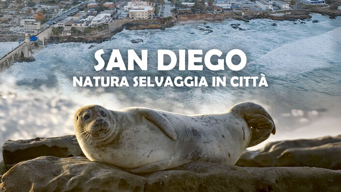 San Diego: natura selvaggia in città