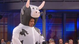 Le domande dello sponsor: la mucca thumbnail