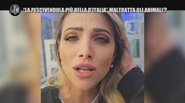 ROMA: "La pescivendola più bella d'Italia" maltratta gli animali? thumbnail