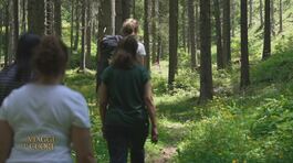 Il Forest Bathing thumbnail