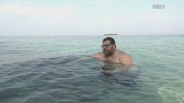Il risveglio dei Senatori thumbnail